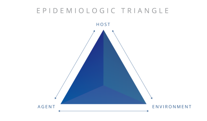 What Is The “Epidemiologic Triangle”?
