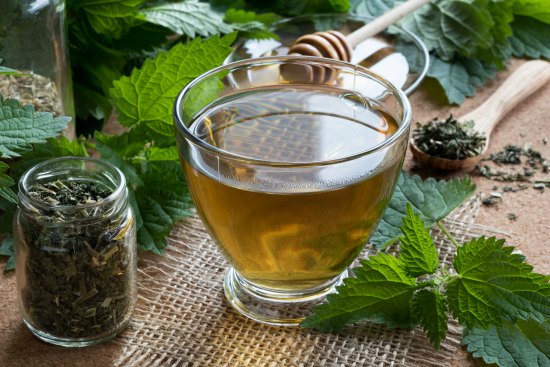 The Medicinal Power Of Nettles Ready-Nutrition-The-Medicinal-Uses-for-Nettles-1