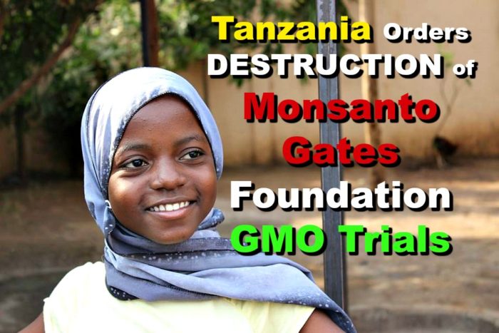 Tanzania Orders Destruction of Monsanto-Gates Foundation GMO Trials