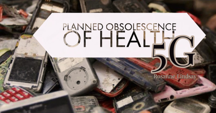 Planned Obsolescence of Health Under The 5G Grid