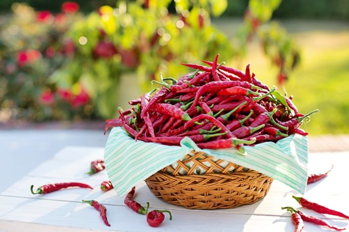 The Amazing Health Benefits of Cayenne Peppers – Heart, Weight Loss, Psoriasis