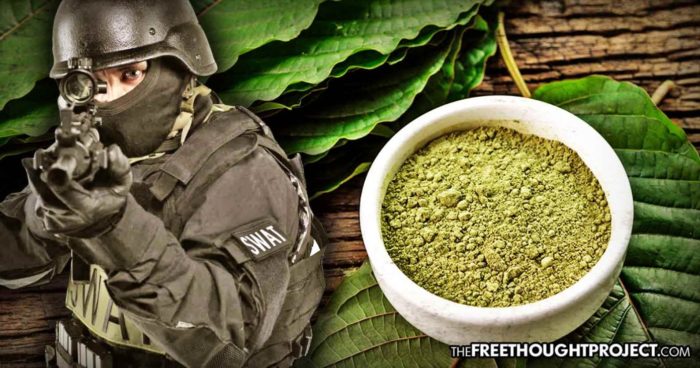 Cops Now Raiding Kratom Dealers as Gov’t Pushes New Prohibition Police State In Support of Big Pharma