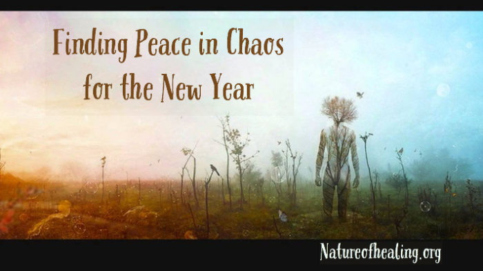 Finding Peace in Chaos for the New Year
