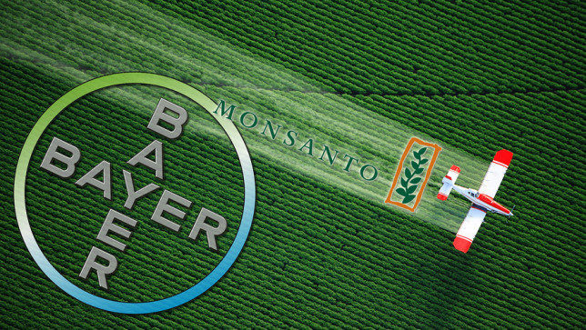 Trump EPA Sides With Bayer/Monsanto, Claims Cancer-Causing Weedkiller ‘Safe’