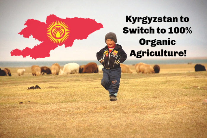 Kyrgyzstan to Switch to 100 Percent Organic Agriculture