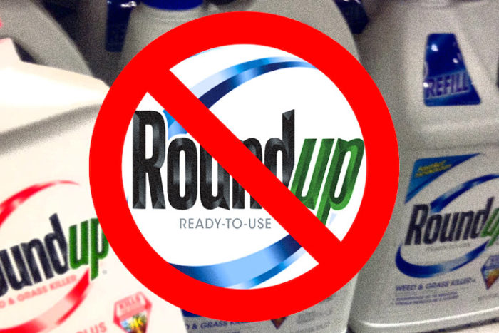 Costco To Be The First Major Retailer To Dump Monsanto’s Roundup And Glyphosate Herbicide From Its Shelves