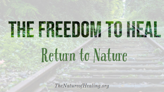 The Freedom To Heal
