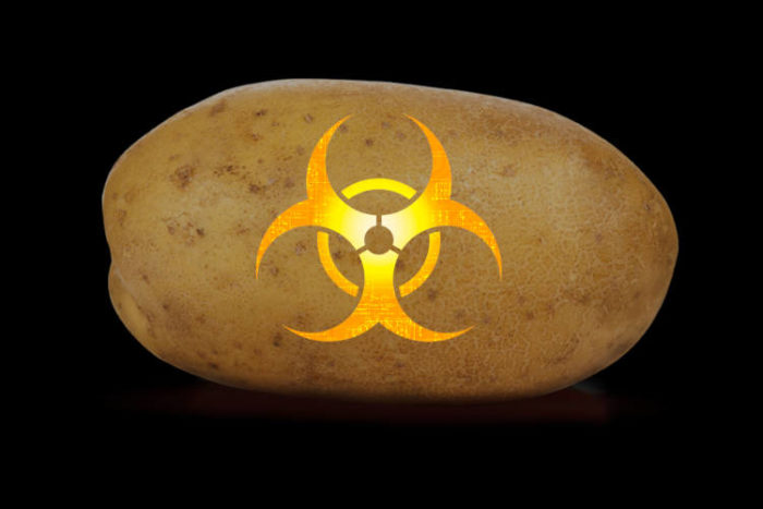The Creator of GM Potatoes Comes Clean about the Hidden Dangers of this New Frankenfood