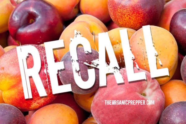 RECALL: Peaches, Plums, and Nectarines Could Be Tainted with Listeria