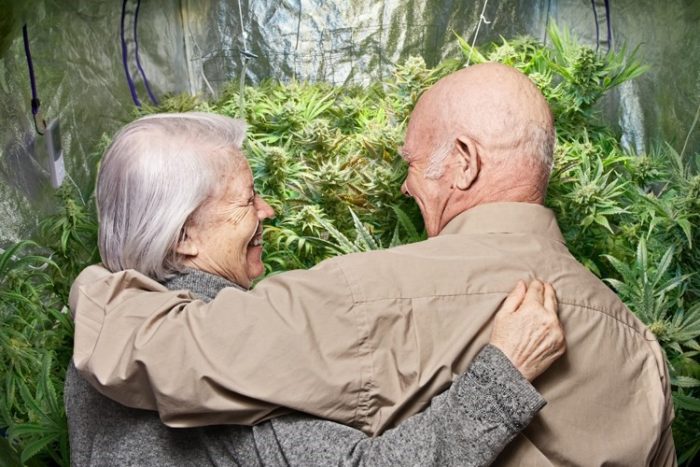 Cannabis For Seniors: Don’t Be Afraid Of A Little Psychoactivity