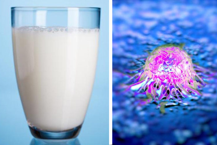 Top Scientist Exposes the Real Dangers of Milk: It “Turns on Cancer” and “Leaches Calcium from Your Bones”