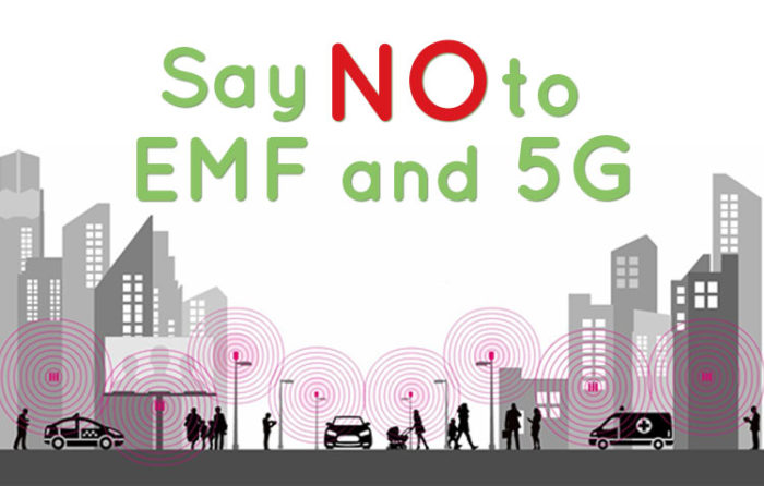 NOW Is The Time To Demand 5G Wireless Health & Environmental Impact Studies At YOUR State Capitol Or Regret Not Doing It Later On