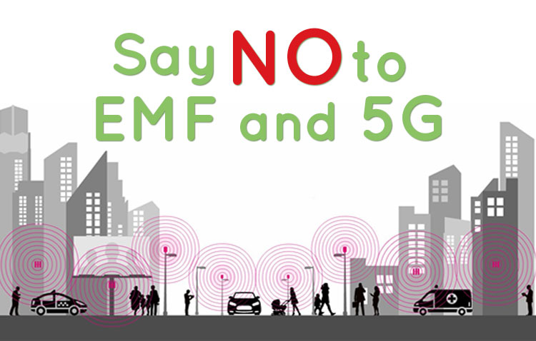 5G – FROM BLANKETS TO BULLETS plus more Say-No-to-EMF-and-5G-750X478-1