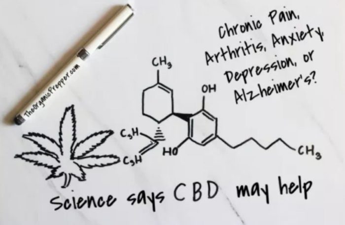 Chronic Pain, Arthritis, Anxiety, Depression, or Alzheimer’s? Science Says CBD May Help