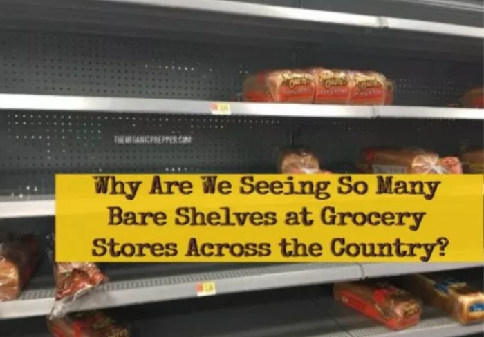Why Are We Seeing So Many Bare Shelves at Grocery Stores Across the Country?