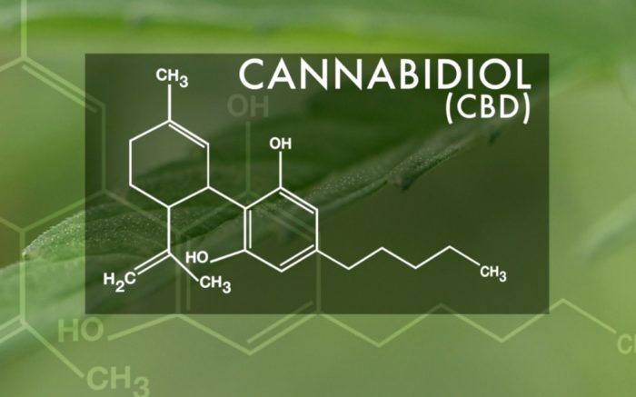 Cannabidiol Is A Powerful New Antibiotic