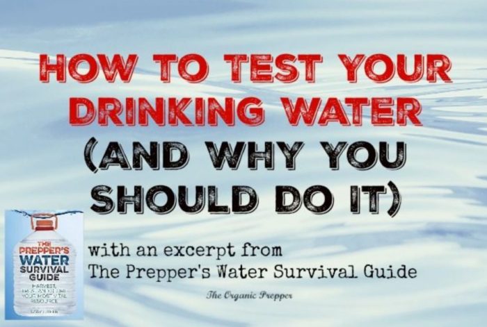How to Test Your Drinking Water (And Why You Should Do It)