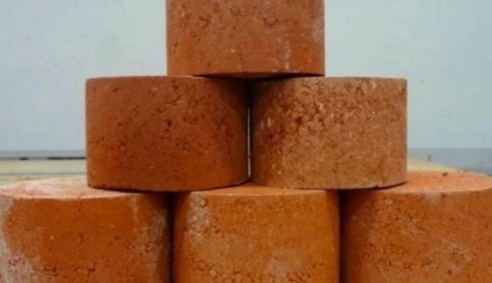 Scientists Discover How to Make Bricks Out of Human Waste