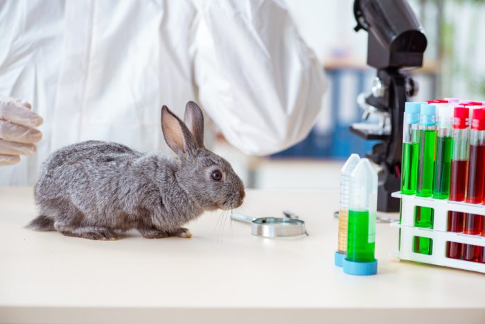 Australian Government Plans To Ban All Animal Testing For Cosmetics In 2020