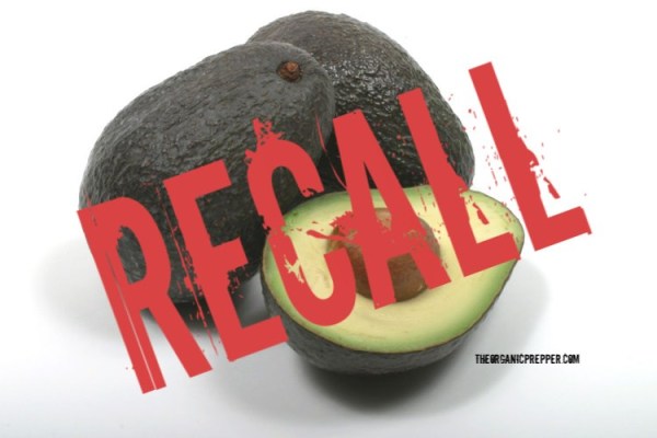 Organic and Conventional Avocados RECALLED in 6 States