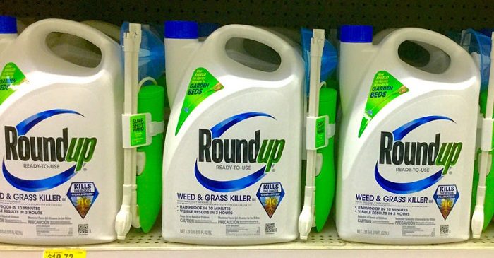 “Historic Victory”: Bayer to End US Residential Sales of Glyphosate-Based Herbicides