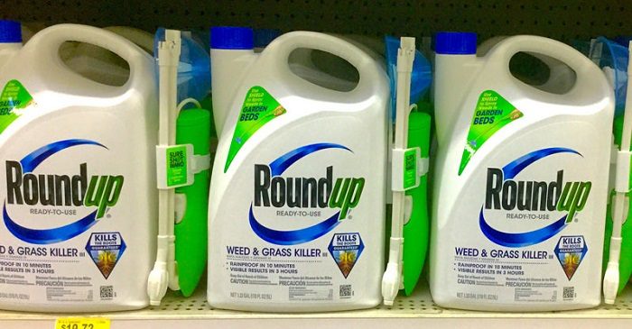 Monsanto Found Liable for Man’s Cancer, Ordered to Pay $80 Million in Damages