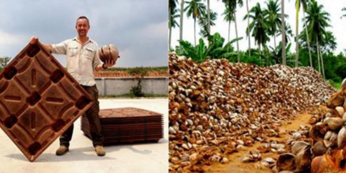 Fire Resistant Coconut Husks Can Replace Wood And Save Millions Of Trees