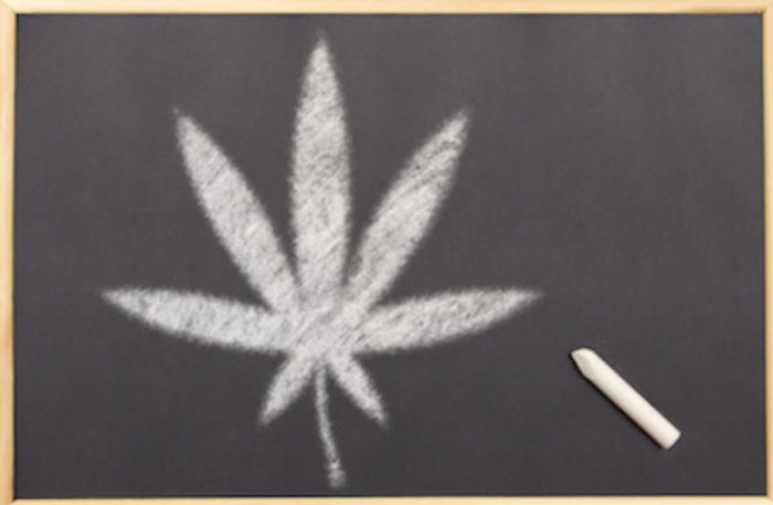 Universities Across The U.S. Are Adding Cannabis To Their Curriculum