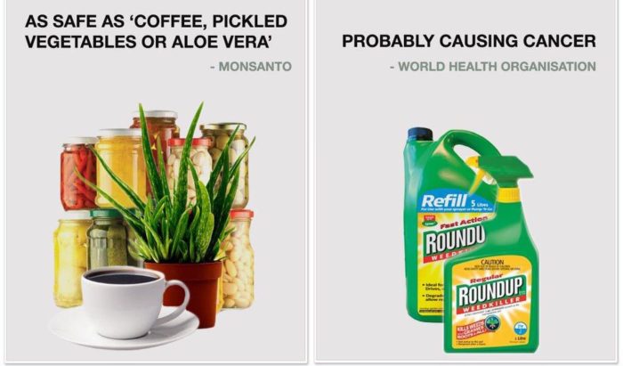 Monsanto Has Been Knowingly Lying About the Safety Of Roundup In Their Ads For Decades