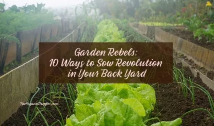 Garden Rebels: 10 Ways to Sow Revolution in Your Back Yard