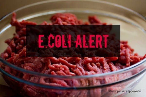 Ground Beef Alert: E. Coli Outbreak and Three Recalls You Need to Know About