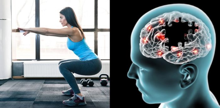 Physically Fit Adults Have Fitter Brains