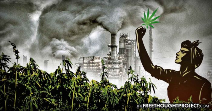 MSM Finally Admits Legal Hemp is the Answer to Dependency on Big Oil