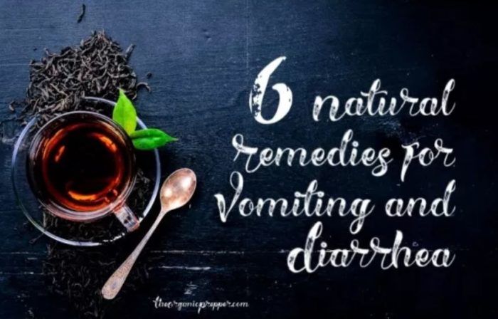 6 Natural Remedies for Vomiting and Diarrhea