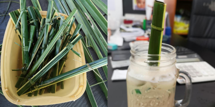 A Philippines Cafe Makes Straws From Coconut Leaves As A Perfect Alternative To Plastic Straws