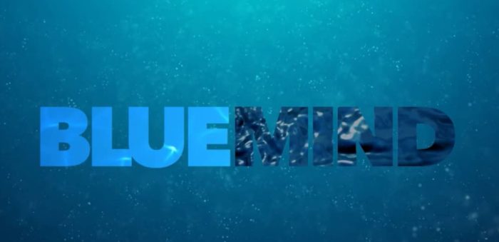 “Blue Mind” Docuseries: May 23-26!