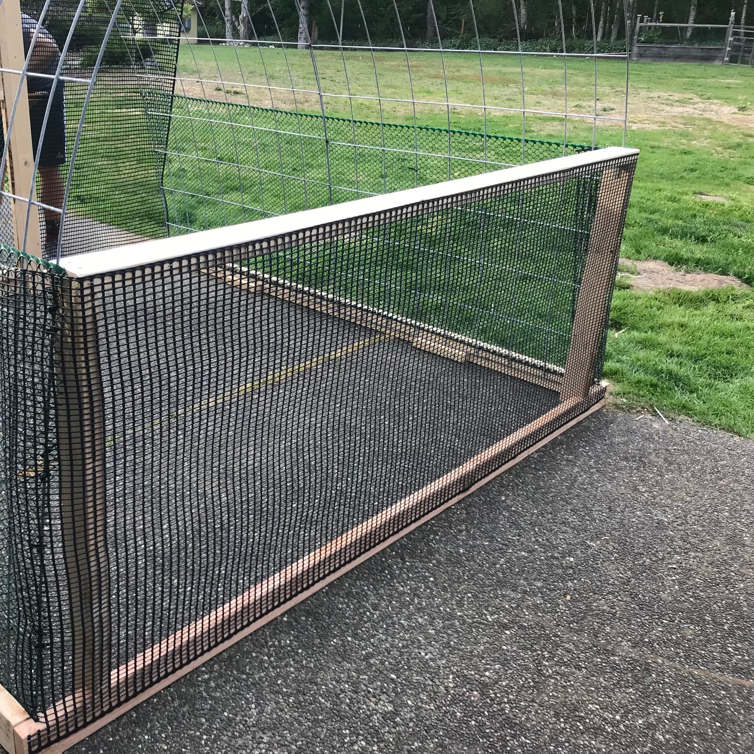  How to Build a Chicken Coop or Greenhouse From Cattle 