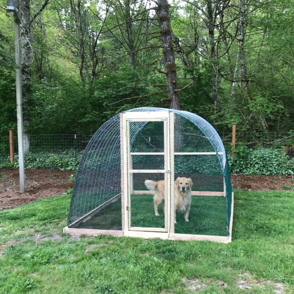 How to Build a Chicken Coop or Greenhouse From Cattle 