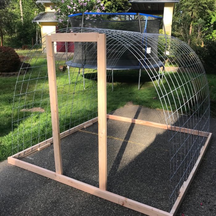 How to Build a Chicken Coop or Greenhouse From Cattle Panels for Under 200