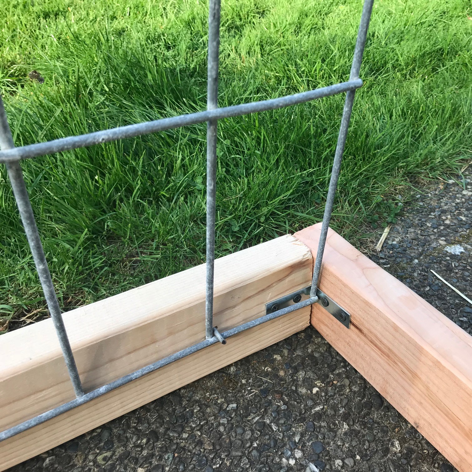 How To Build A Chicken Coop Or Greenhouse From Cattle Panels For