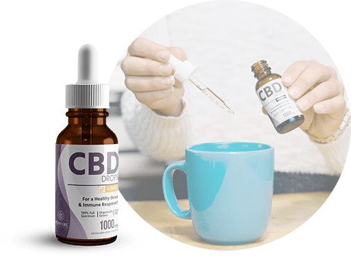 Mount Sinai Study Finds CBD Treats Opioid Addiction By Reducing Cravings and Anxiety