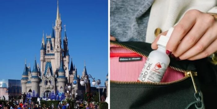 Great-Grandmother Arrested at Disney World for Having CBD Oil in Her Purse