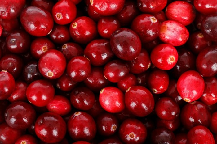 Cranberries Help Antibiotics Fight Bacterial Infections