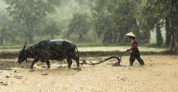 Farmers Have Less Leisure Time Than Hunter-Gatherers, Study Suggests