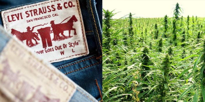 Levi’s Is Using Hemp In Their New Line Of Sustainable Clothing