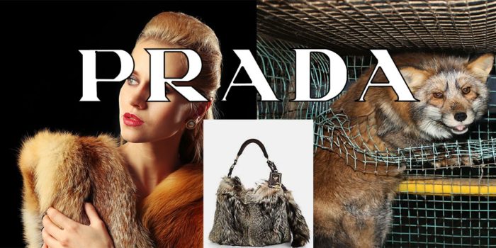 Prada Will Finally Ban Fur On All New Designs From 2020