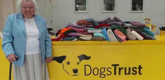 This 89-Year-Old Lady Knitted Over 450 Dog Coats And Blankets For Shelter Dogs