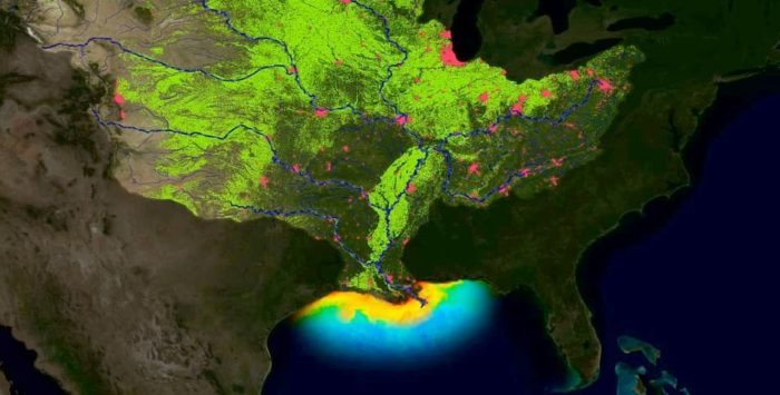 2019 ‘Dead Zone’ In Gulf of Mexico May Be Second Largest on Record