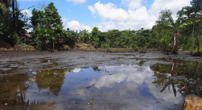 Conflicted Judge Protects Chevron Abuse of Amazon Villagers’ Attorney Donziger