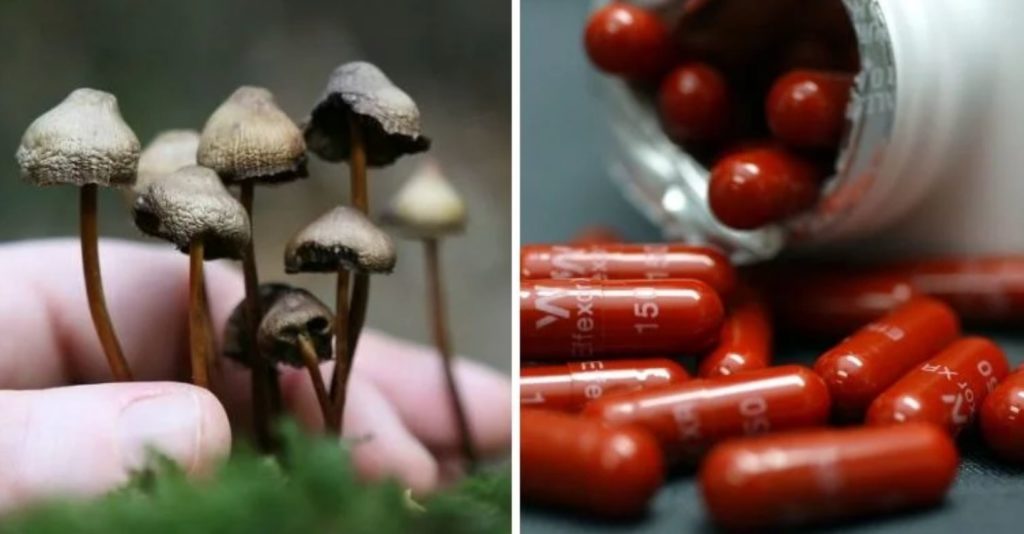 Magic Mushrooms Could Replace Antidepressants Within 5 Years Magic-mushrooms-big-pharma-TMU-1024x534